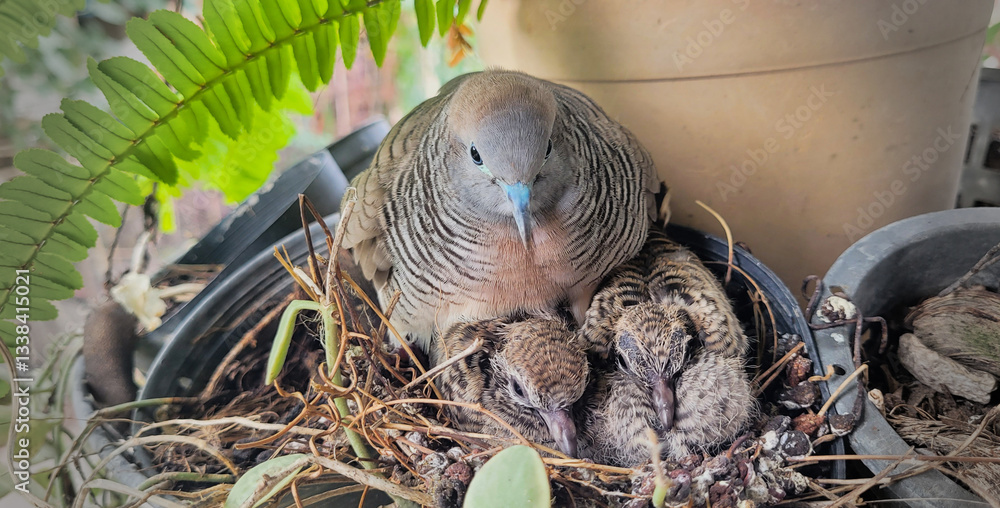 Growing up in plant pod