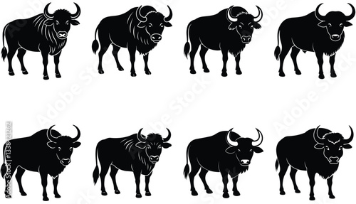 Buffalo Vector Shilhouette Bundle set