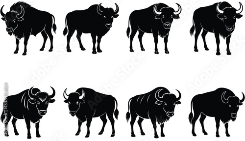 Buffalo Vector Shilhouette Bundle set