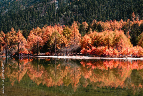 Landscape Bipenggou Valley - Most Beautiful Panyang Lake or Argali Lake and Yellow Tree with Snow Mountain  in Mount Bipenggou National Park in Xiaojin Sichuan Province China -