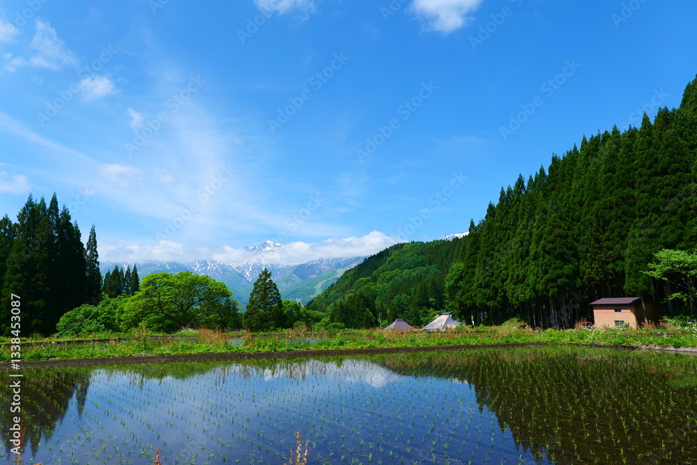 Fototapeta premium 初夏の青鬼地区。白馬、長野、日本。5月下旬。