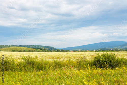Obraz na płótnie rural landscape with field and mountain in summer. green nature outdoor with grass and hill. countryside scenery for travel with cloud on sky. tourism background with beautiful view w salonie