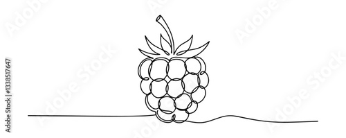 single raspberry fruit with stem drawn in elegant one line style