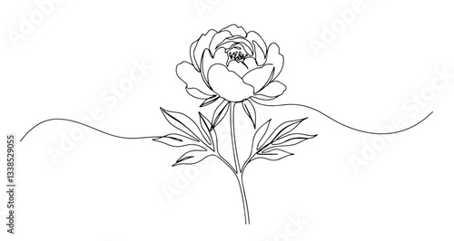 peony flower illustration line art one line vector monoline