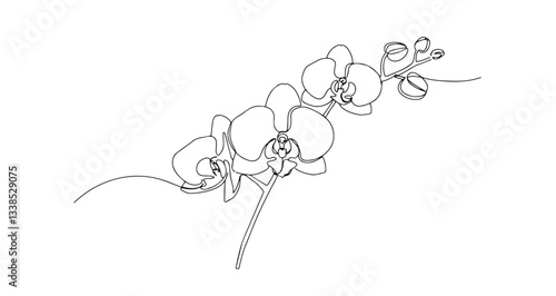 orchid flower botanical illustration line art one line vector monoline