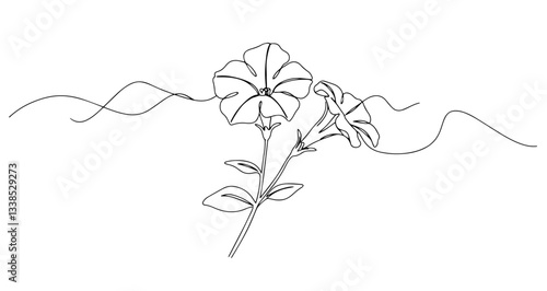 minimalist morning glory flower drawing elegant floral line art