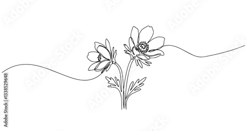 anemone flower vector monoline one line line art sketch illustration