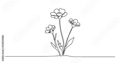 buttercup flowers vector monoline one line line art sketch illustration