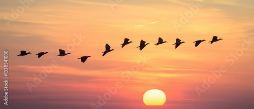 Wallpaper Mural A flock of birds soaring through the air as the sun sets in the background Torontodigital.ca