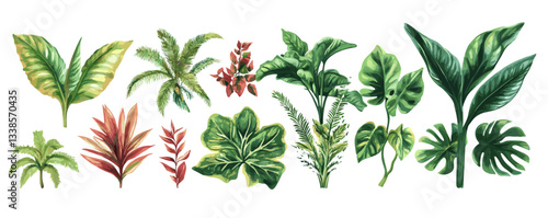 Collection of various green tropical leaves on white background.