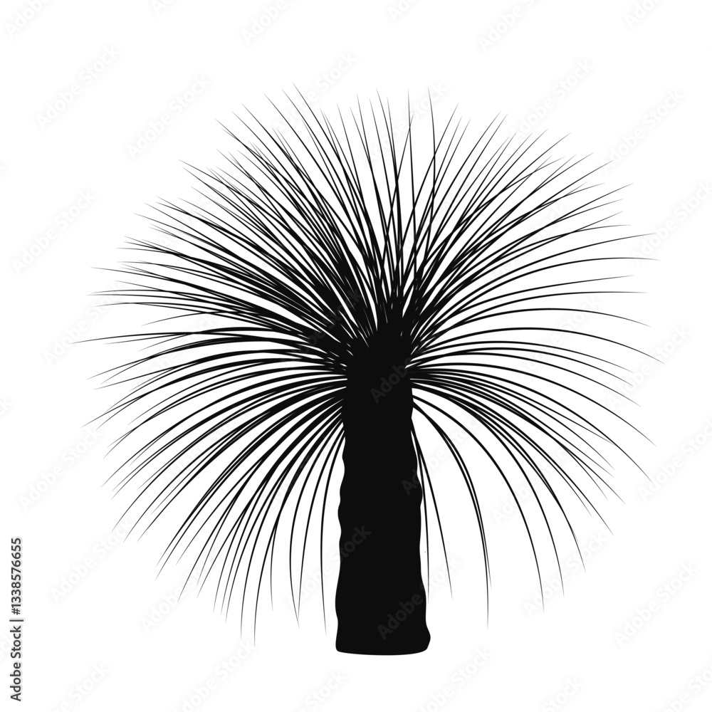 custom made wallpaper toronto digitalXanthorrhoea tree vector outline silhouette isolated illustration. The Grass tree, native Australian endemic flora element