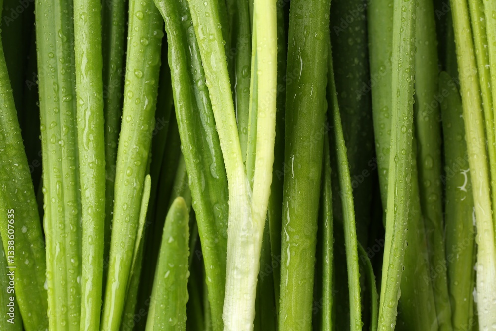 Fresh green onions with water drops as background, top view Fresh green onions with water drops as background, top view