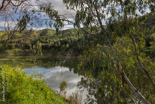 Obraz na płótnie Eucalyptus branches framing a serene lake landscape with hills w salonie