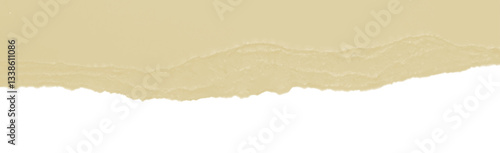 Rough torn paper edge isolated on transparent background. Piece of ripped old brown paper or cardboard