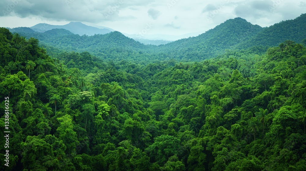 Obraz premium Stop pollution sustainability concept. Lush green rainforest landscape with distant mountains under cloudy sky.