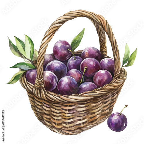 A watercolor vector painting of a beach plum basket, isolated on a white background.

