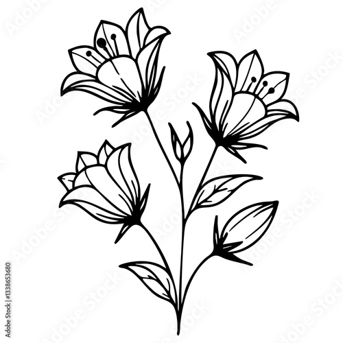 A vector simple line drawing of three bellbellflowers with leaves, showcasing their delicate petals and stems.