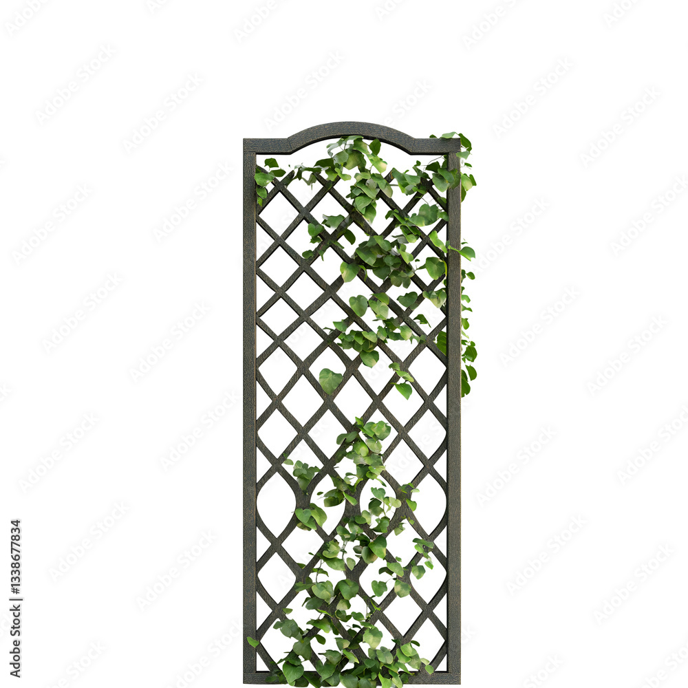 Sturdy trellis with an intricate lattice design
Sturdy trellis with an intricate lattice design