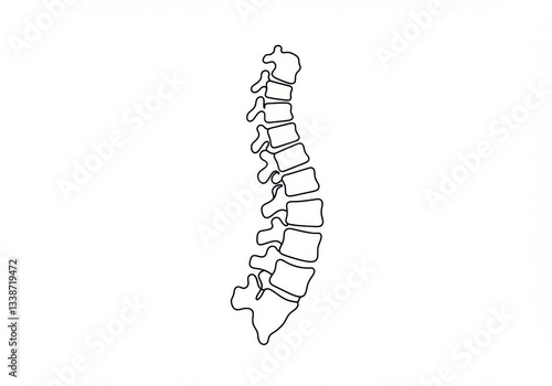 Minimalist spine illustration, black and white line drawing, vertebrae outline, anatomical sketch, medical diagram, simplified spinal column, skeletal structure