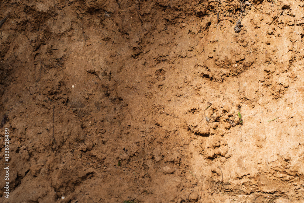 dry, textured soil with uneven surface, small cracks, and scattered organic particles, natural earthy background, agriculture, environment, geology, growth, sustainability, drought, land development dry, textured soil with uneven surface, small cracks, and scattered organic particles, natural earthy background, agriculture, environment, geology, growth, sustainability, drought, land development