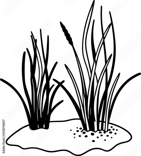 reeds and grass illustration black and white nature drawing wetland plants on white background.