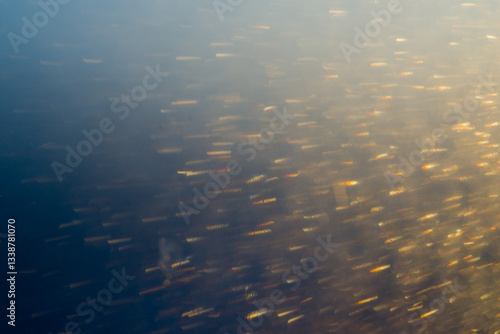 Blurred bokeh light sparkle on golden black background