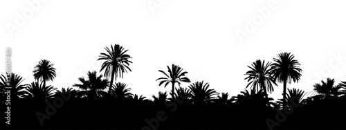 Seamless vector landscape banner with palm tree silhouettes on white background.