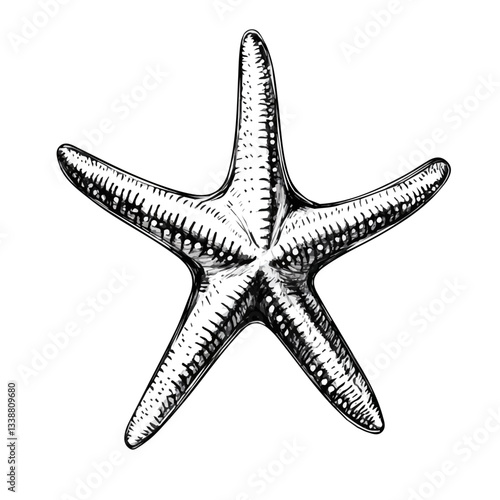 Black and white Starfish symbol, perfect for tattoos, vectors, logos, isolated on a white background.