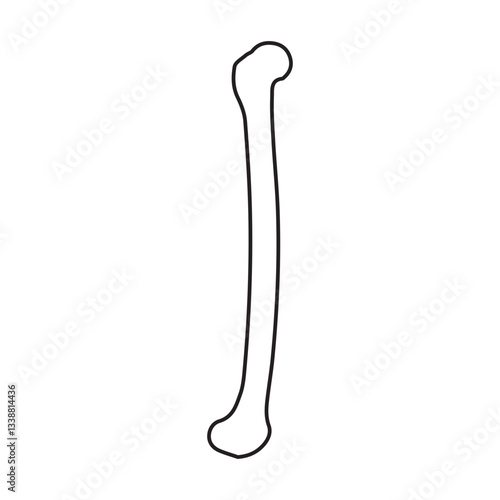 femur lateral line icon