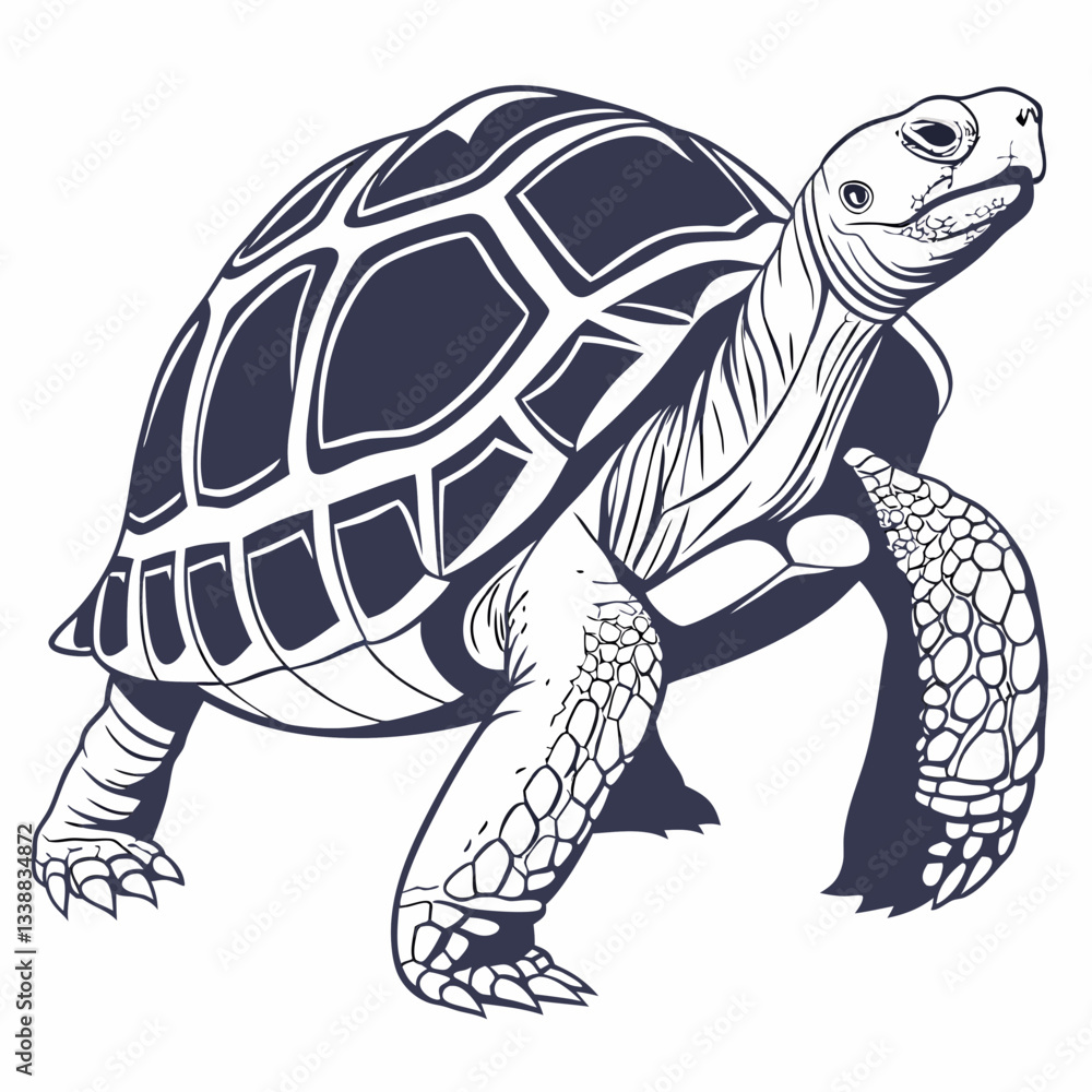 Fototapeta premium Vector art of a dark blue turtle illustration vector design isolated on white background