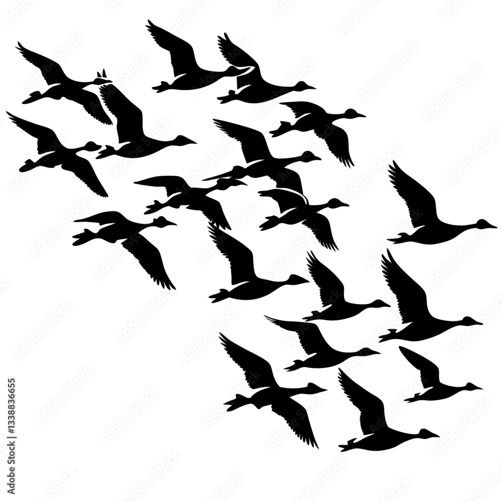 A flock of geese in flight, a black silhouette illustration vector design isolated on white background A flock of geese in flight, a black silhouette illustration vector design isolated on white background