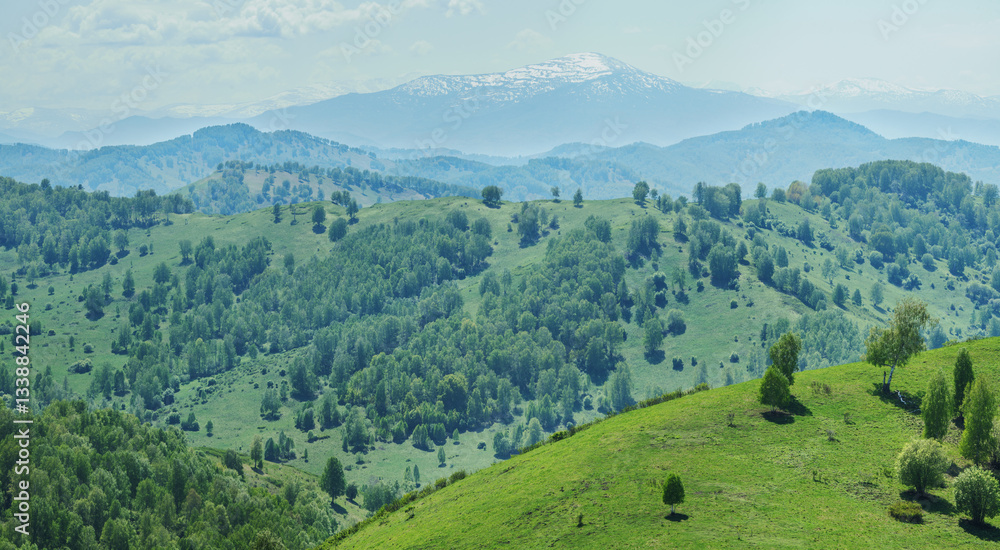 Fototapeta premium Mountain view, spring landscape, green forests and snow-capped mountain peaks