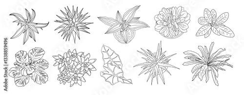 Set of Houseplants outline drawings. Indoor flowers in pots line art top view. Monstera, succulent plants for home interior plans, design. Vector illustrations isolated on white background.