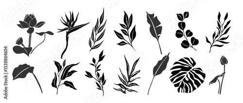 Set of black silhouettes of tropical leaves, palms, flowers. Hand drawn elegant exotic branches, eucalyptus, monstera leaves, lotus, birth of paradise flowers. Trendy botanical vector illustrations.