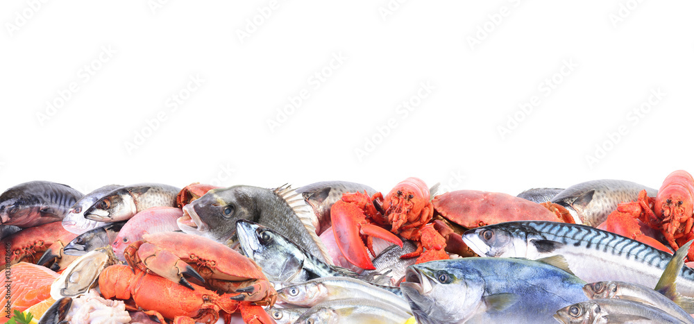 Fresh seafood isolated