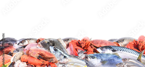 Obraz na płótnie Fresh seafood isolated w salonie