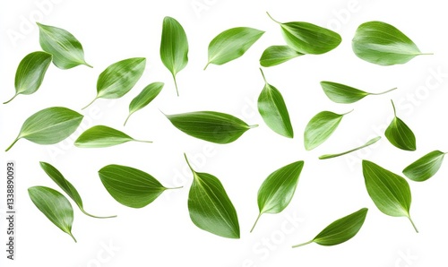 Falling Green Leaves Multiple vibrant green leaves in a scattered composition against a white background, Nature photography, leaf, foliage, green. leaf, foliage