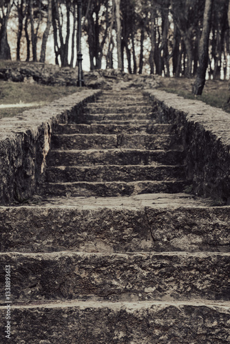 Worn stone steps leading to a hidden grove beneath tall trees at dusk