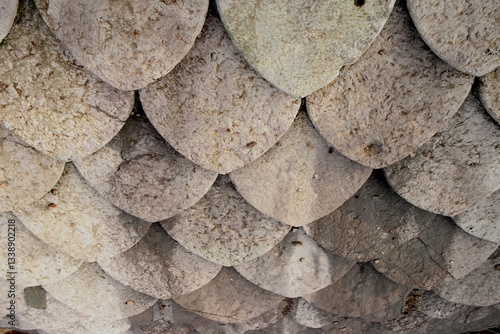 View of some ogival roof tiles