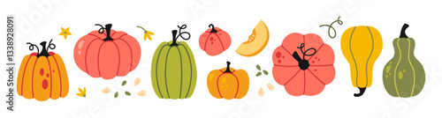 Set of cute pumpkins and gourds in various shapes and sizes. Trendy modern vector illustration isolated on white background, hand drawn, flat design