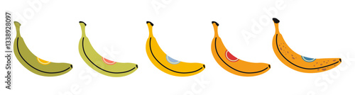 Banana ripeness stages. Fruits ripening gradation step from green to spotted yellow. Trendy modern vector illustration isolated on white background, hand drawn, flat design