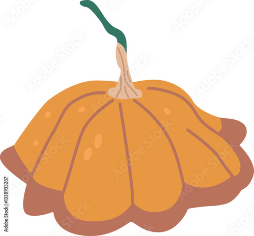 Pumpkin squash vegetable vector illustration