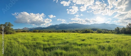 Vast green field under a bright blue sky with majestic mountains in the background.