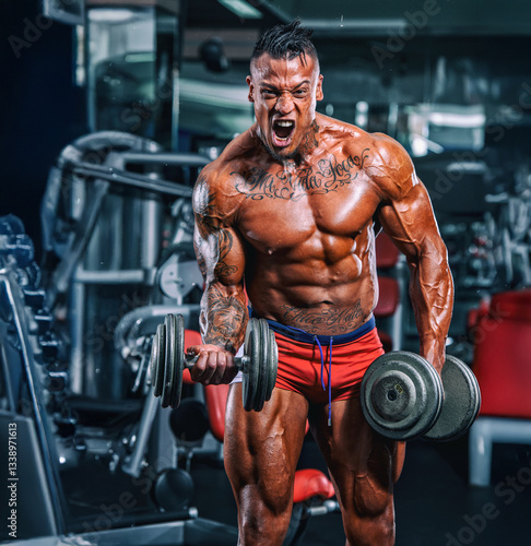 Muscular Man, Bodybuilder Lifting Weights at the Gym