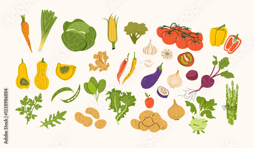 Set of natural farm food. Autumn vegetables and herbs compositions. Grocery products. Vegan and healthy life. For infographics, identity decoration, social media post menu, recipe design. 