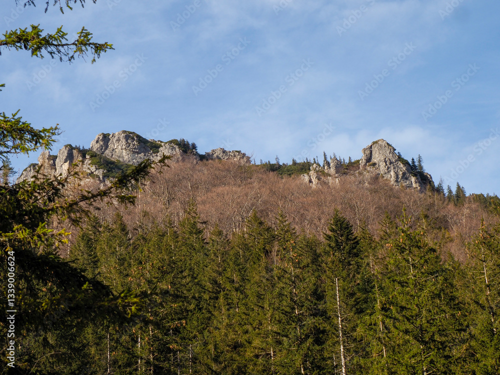 Dramatic Rocky Mountain Peaks Towering Above Lush Forest Under Clear Blue Sky Dramatic Rocky Mountain Peaks Towering Above Lush Forest Under Clear Blue Sky