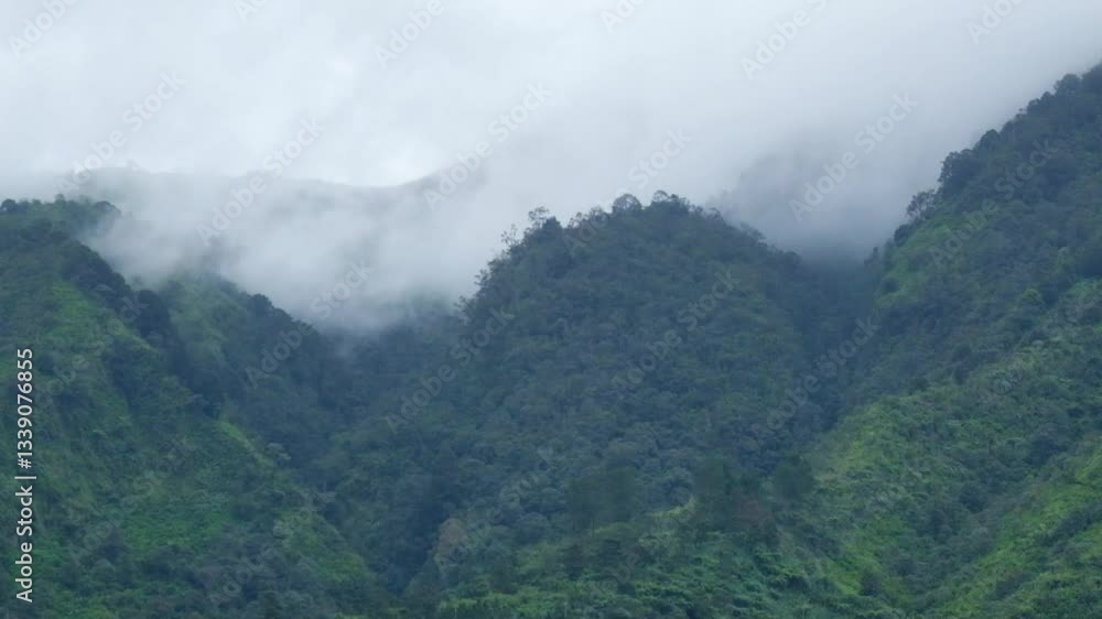 White mist moves across the cliffside of tropical forest.White fog moving fast. Ecology and environment concept. Footage 4K White mist moves across the cliffside of tropical forest.White fog moving fast. Ecology and environment concept. Footage 4K