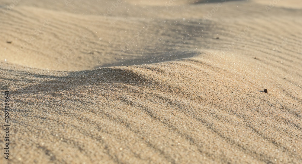 Naklejka premium Close-up of fine sand dunes glistening in the sunlight