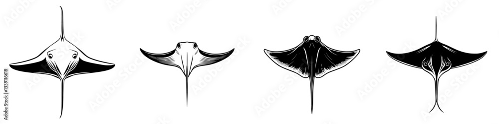 Unique black and white illustrations of various stingray species showcasing their distinct shapes and features Unique black and white illustrations of various stingray species showcasing their distinct shapes and features