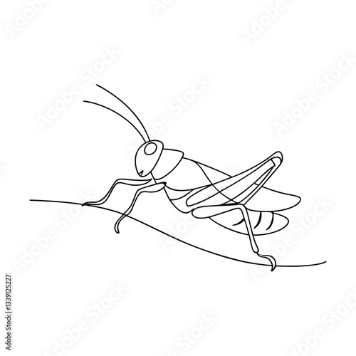 Grasshopper Line Art Insect Drawing Vector Illustration